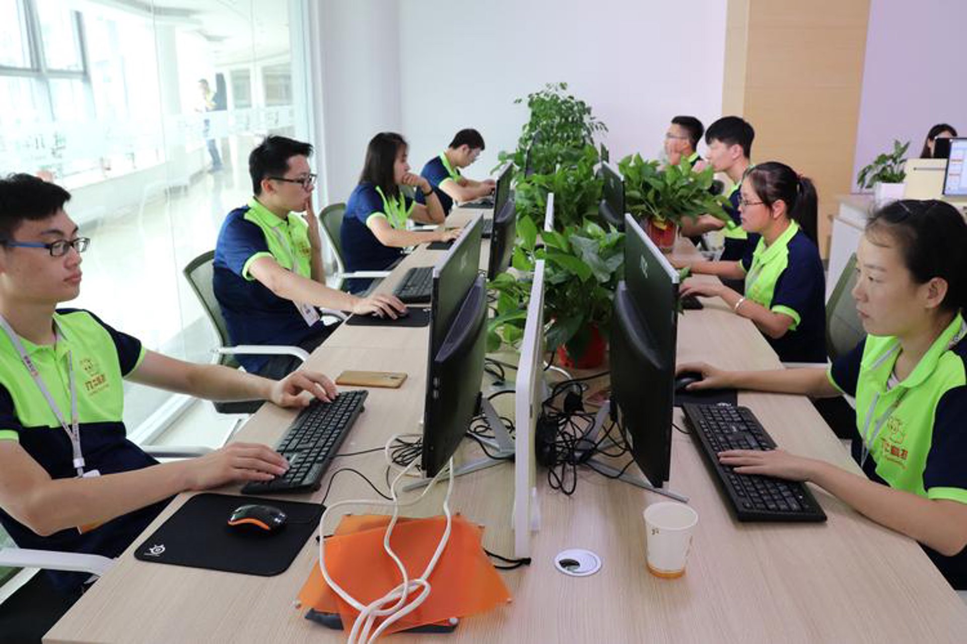 陕牛网络科技